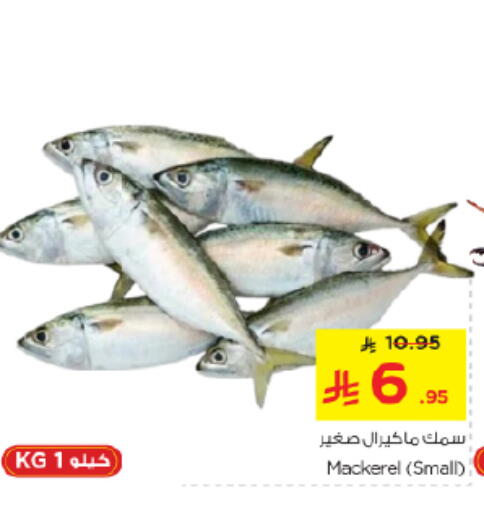 available at نستو in مملكة العربية السعودية, السعودية, سعودية - الخرج