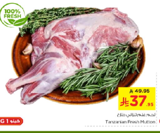 لحم الضأن / الغنم available at نستو in مملكة العربية السعودية, السعودية, سعودية - الخرج