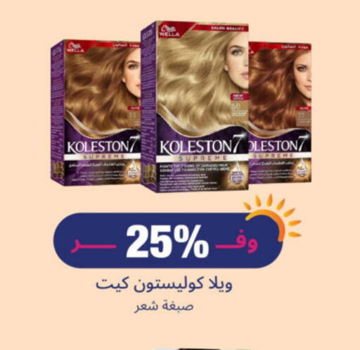 العناية بالشعر in صيدلية المتحدة, المملكة العربية السعودية Offers - المملكة العربية السعودية ويلا صبغة شعر available at صيدلية المتحدة in مملكة العربية السعودية, السعودية, سعودية - جدة