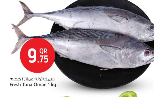 تونة available at سفاري هايبر ماركت in قطر - أم صلال