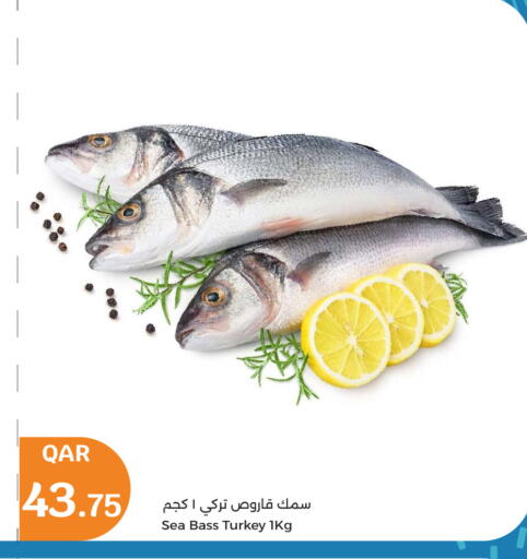 available at سيتي هايبرماركت in قطر - أم صلال