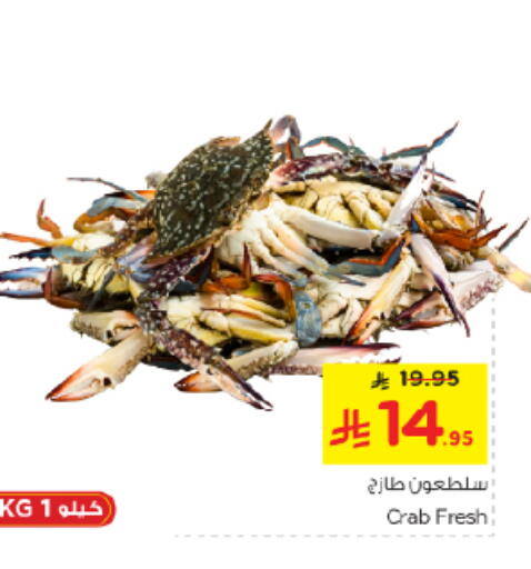 available at نستو in مملكة العربية السعودية, السعودية, سعودية - الخرج