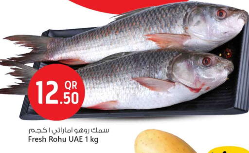 available at سفاري هايبر ماركت in قطر - أم صلال