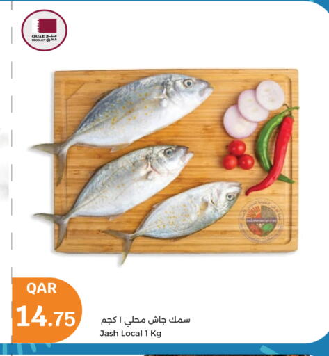 available at سيتي هايبرماركت in قطر - أم صلال