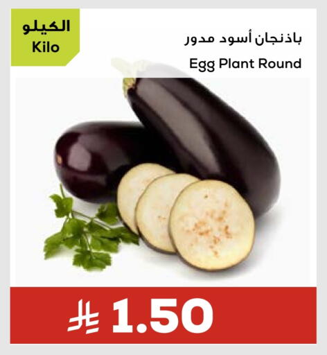 available at أسواق أسترا in مملكة العربية السعودية, السعودية, سعودية - تبوك