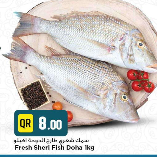available at مرزا هايبرماركت in قطر - الدوحة