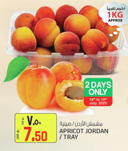 available at Kenz Mini Mart in Qatar - Umm Salal
