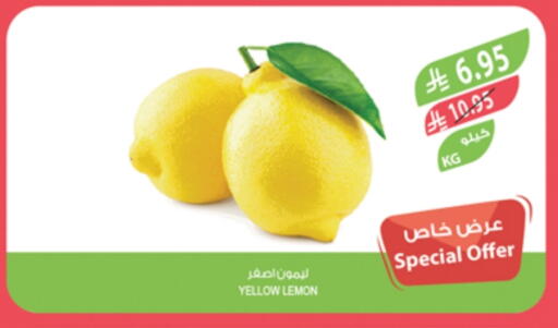 lemon available at Farm  in KSA, Saudi Arabia, Saudi - Khafji
