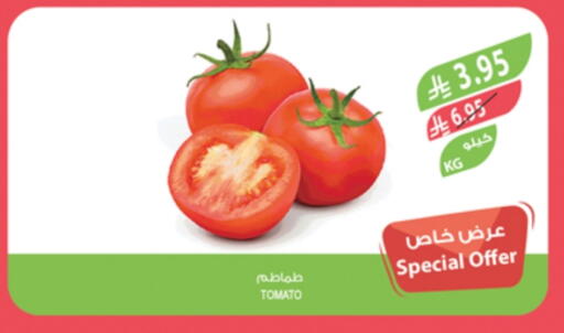Tomato available at Farm  in KSA, Saudi Arabia, Saudi - Jeddah