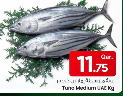 available at مارك & سيف in قطر - أم صلال