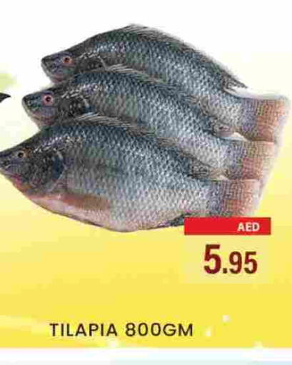 available at Zain Mart Supermarket in UAE - Ras al Khaimah