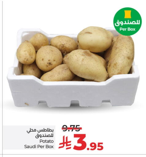 Potato from Saudi Arabia available at LULU Hypermarket in KSA, Saudi Arabia, Saudi - Saihat