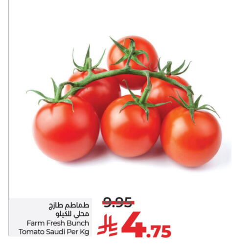 Tomato from Saudi Arabia available at LULU Hypermarket in KSA, Saudi Arabia, Saudi - Dammam