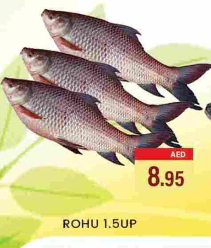 available at Zain Mart Supermarket in UAE - Ras al Khaimah