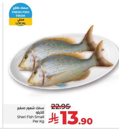 available at LULU Hypermarket in KSA, Saudi Arabia, Saudi - Al Khobar