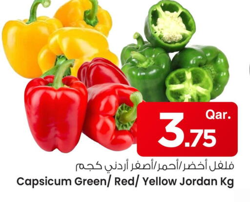 فلفل / فليفلة from Jordan available at مارك & سيف in قطر - أم صلال
