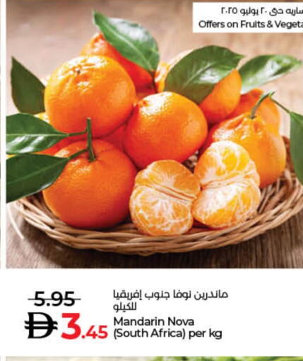 برتقال from South Africa available at لولو هايبرماركت in الإمارات العربية المتحدة , الامارات - ٱلْفُجَيْرَة‎