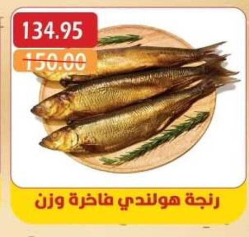 available at بشاير هايبرماركت in Egypt - القاهرة