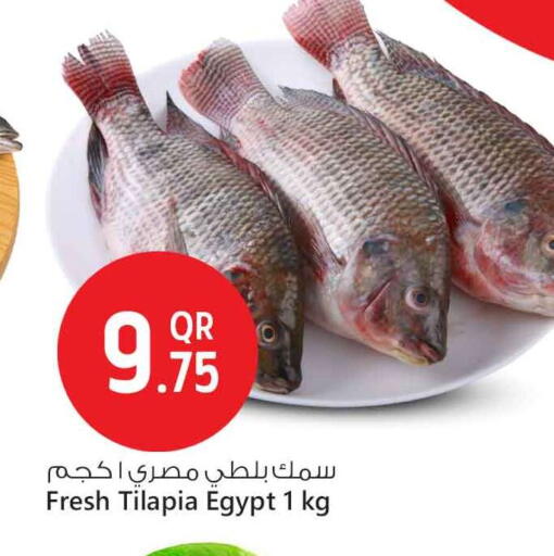 available at سفاري هايبر ماركت in قطر - أم صلال