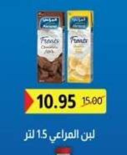 ALMARAI Laban available at Bashayer hypermarket in Egypt - Cairo