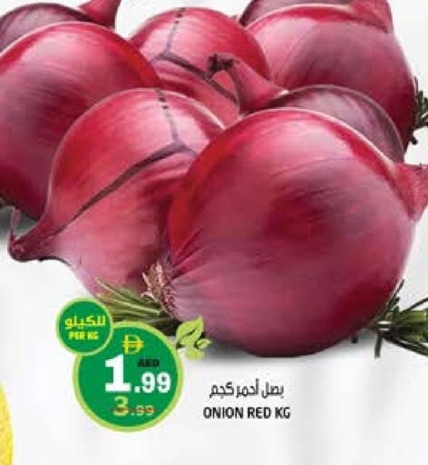 بصل available at هاشم هايبرماركت in الإمارات العربية المتحدة , الامارات - الشارقة / عجمان