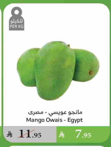 Mango Mangoes from Egypt available at Al Raya in KSA, Saudi Arabia, Saudi - Jazan