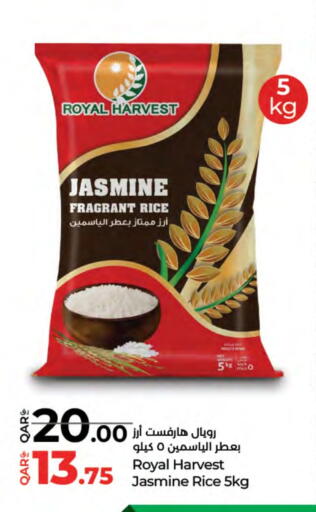 Rice in LuLu Hypermarket, Qatar Offers - Qatar Jasmine Rice available at LuLu Hypermarket in Qatar - Al-Shahaniya