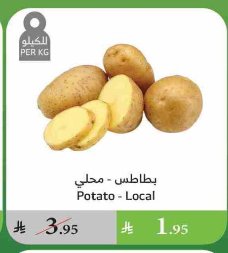 Potato available at Al Raya in KSA, Saudi Arabia, Saudi - Bishah