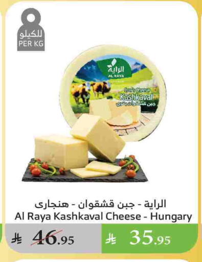available at Al Raya in KSA, Saudi Arabia, Saudi - Najran