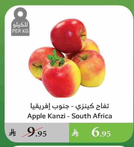 Apples from South Africa available at Al Raya in KSA, Saudi Arabia, Saudi - Al Qunfudhah