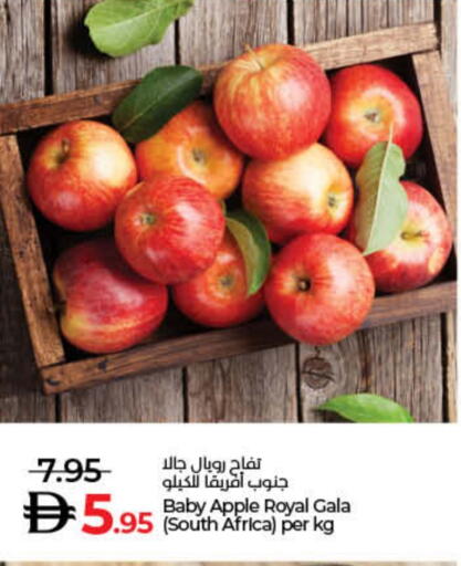Apple from South Africa available at Lulu Hypermarket in UAE - Ras al Khaimah
