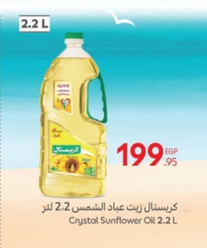 Sunflower Oil available at Carrefour  in Egypt - Cairo