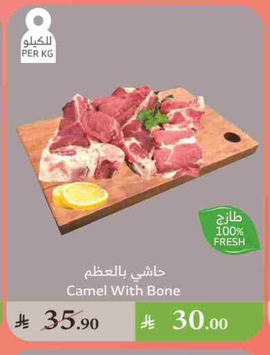 لحم حاشي available at الراية in مملكة العربية السعودية, السعودية, سعودية - تبوك