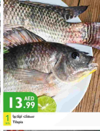 available at Istanbul Supermarket in UAE - Sharjah / Ajman