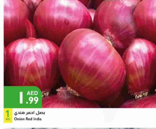 Onion from India available at Istanbul Supermarket in UAE - Al Ain