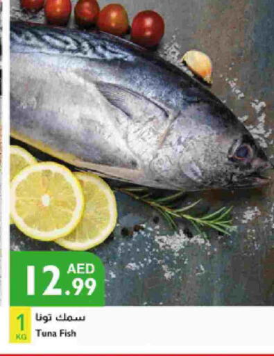 Tuna available at Istanbul Supermarket in UAE - Sharjah / Ajman