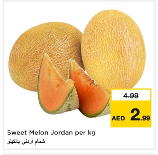 شمام from Jordan available at لاست تشانس in الإمارات العربية المتحدة , الامارات - ٱلْفُجَيْرَة‎
