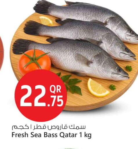 available at سفاري هايبر ماركت in قطر - أم صلال