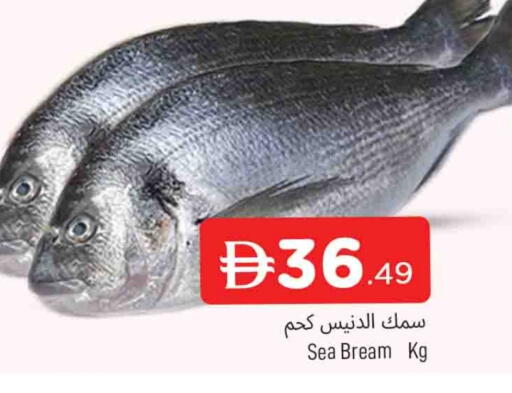 available at AL MADINA in UAE - Sharjah / Ajman