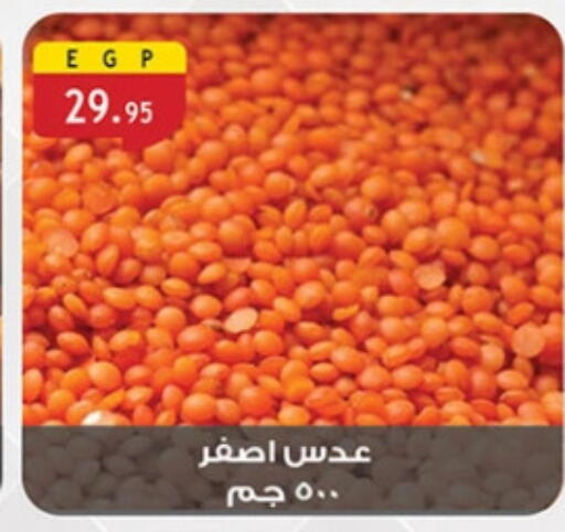 available at الرايه  ماركت in Egypt - القاهرة