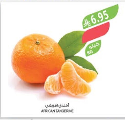 Orange available at Farm  in KSA, Saudi Arabia, Saudi - Abha