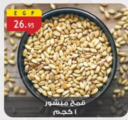 available at الرايه  ماركت in Egypt - القاهرة