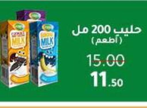 available at Wekalet Elmansoura - Dakahlia  in Egypt - Cairo