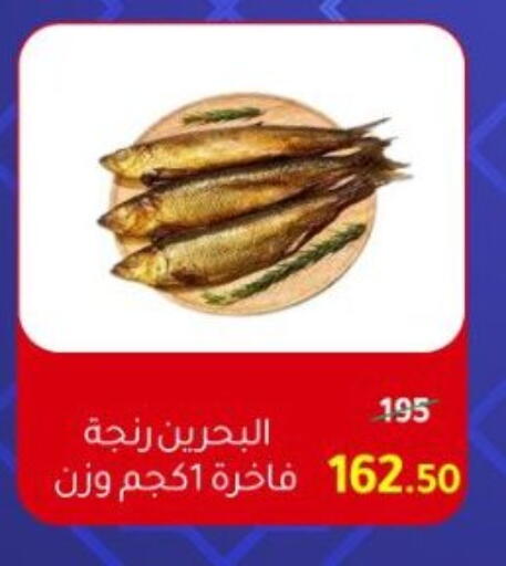 available at وكالة المنصورة - الدقهلية‎ in Egypt - القاهرة