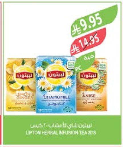 Lipton Tea Bags available at Farm  in KSA, Saudi Arabia, Saudi - Khafji