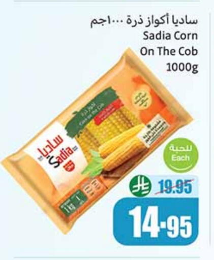 SADIA available at Othaim Markets in KSA, Saudi Arabia, Saudi - Az Zulfi