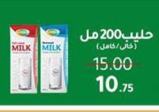 available at Wekalet Elmansoura - Dakahlia  in Egypt - Cairo