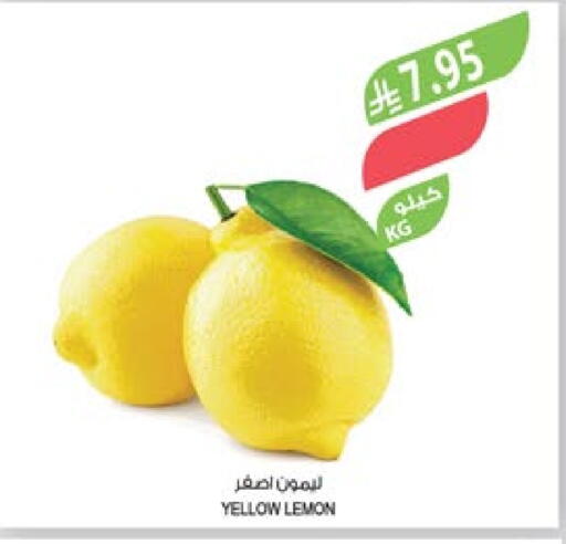 lemon available at Farm  in KSA, Saudi Arabia, Saudi - Abha