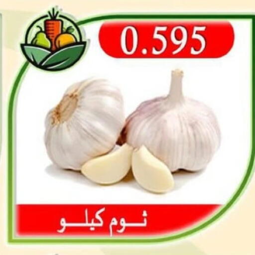 Garlic available at  Al Adan And Al Qusor Co-Op in Kuwait - Ahmadi Governorate
