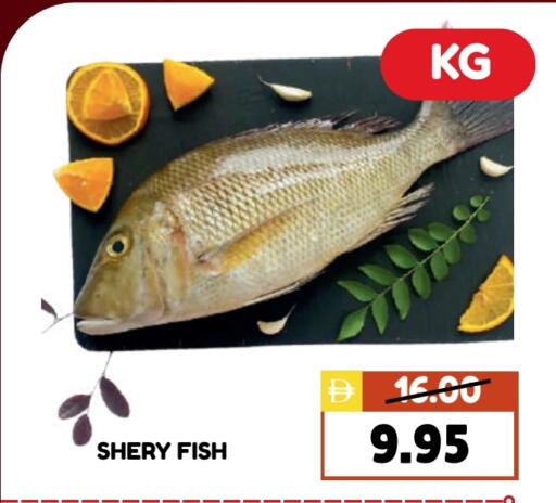 available at ROYAL GULF HYPERMARKET LLC in UAE - Abu Dhabi